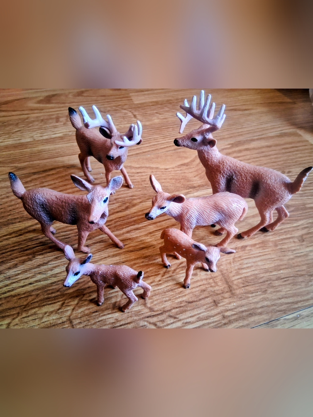 A Herd Of 6 Toy Deer, Male, Female, Babies,  Included Free Is 2 Giraffe, Zebra